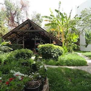 Ece Veganhotel Bodrum Otel